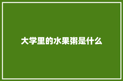 大学里的水果粥是什么