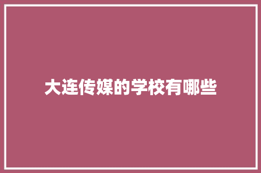 大连传媒的学校有哪些