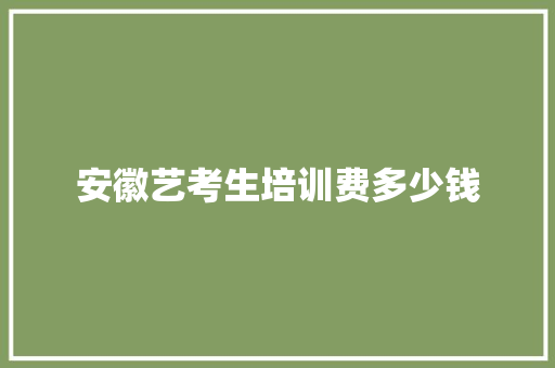 安徽艺考生培训费多少钱