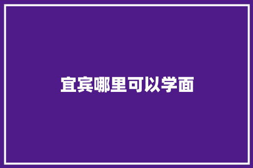 宜宾哪里可以学面