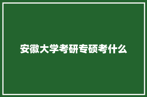 安徽大学考研专硕考什么