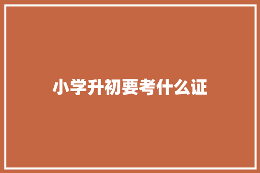小学升初要考什么证