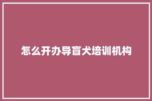怎么开办导盲犬培训机构