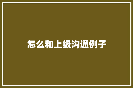怎么和上级沟通例子