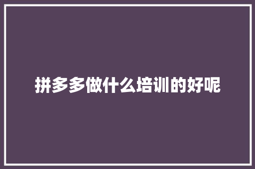 拼多多做什么培训的好呢