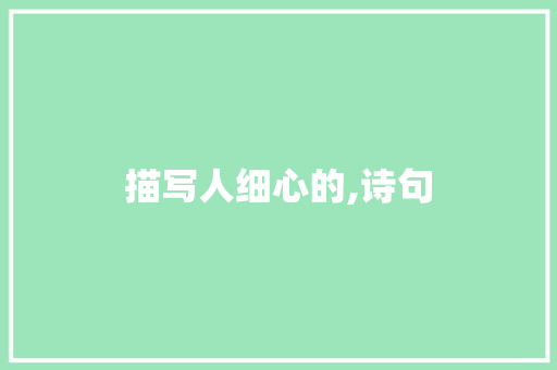 描写人细心的,诗句