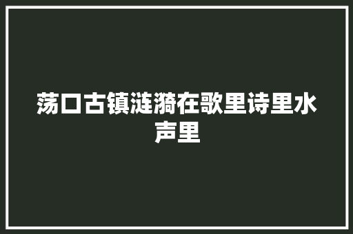 荡口古镇涟漪在歌里诗里水声里