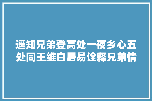 遥知兄弟登高处一夜乡心五处同王维白居易诠释兄弟情深