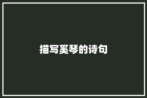 描写奚琴的诗句