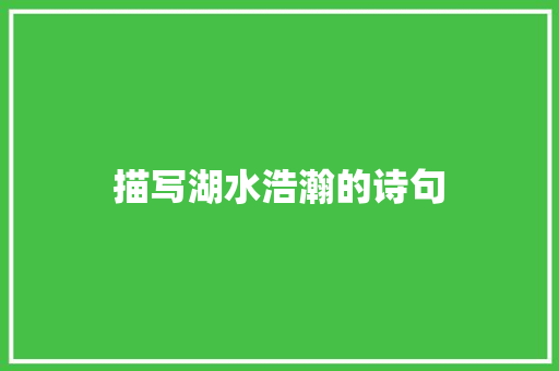 描写湖水浩瀚的诗句