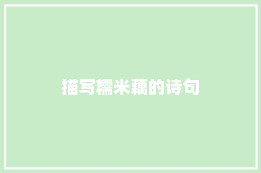 描写糯米藕的诗句