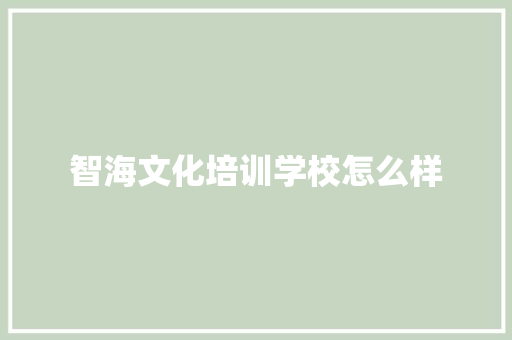智海文化培训学校怎么样
