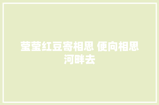 莹莹红豆寄相思 便向相思河畔去