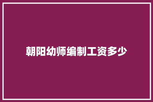 朝阳幼师编制工资多少