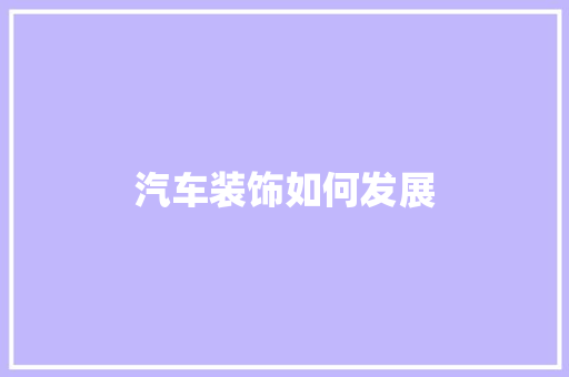 汽车装饰如何发展