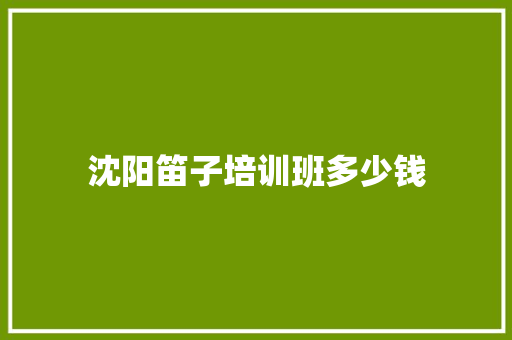 沈阳笛子培训班多少钱
