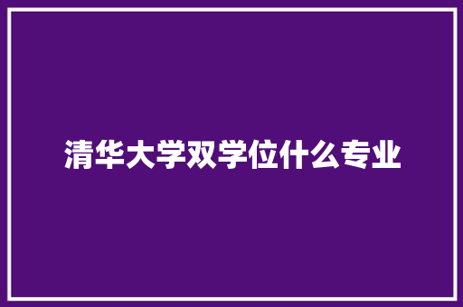 清华大学双学位什么专业