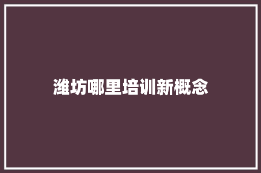 潍坊哪里培训新概念