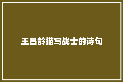 王昌龄描写战士的诗句