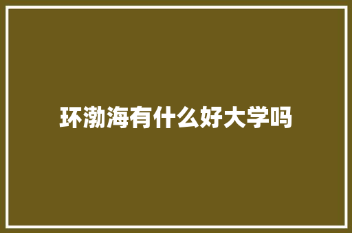 环渤海有什么好大学吗