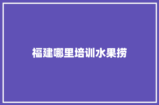 福建哪里培训水果捞