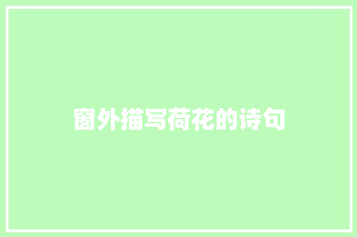 窗外描写荷花的诗句