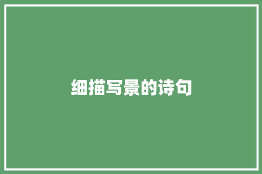 细描写景的诗句