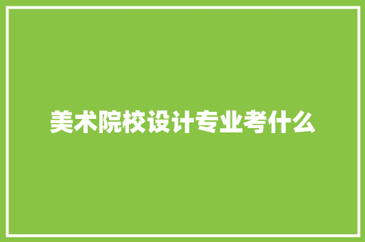 美术院校设计专业考什么