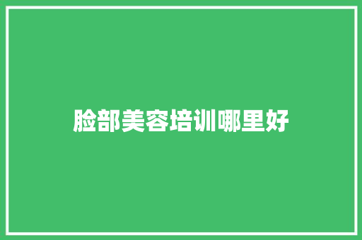脸部美容培训哪里好
