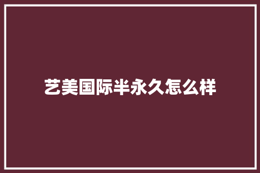 艺美国际半永久怎么样