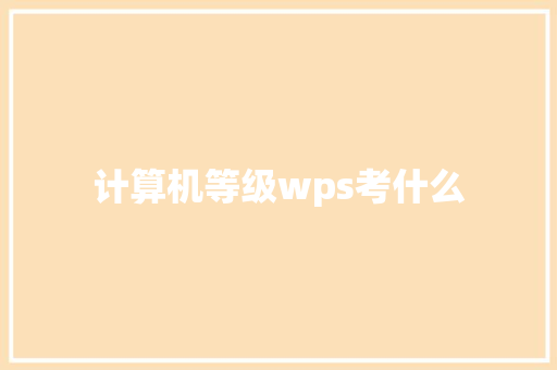 计算机等级wps考什么