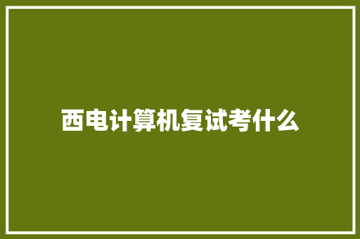 西电计算机复试考什么