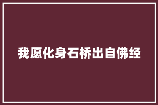 枫溪选青教诲成长合营体开展古诗词传授教化主题教研活动