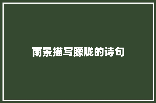 雨景描写朦胧的诗句