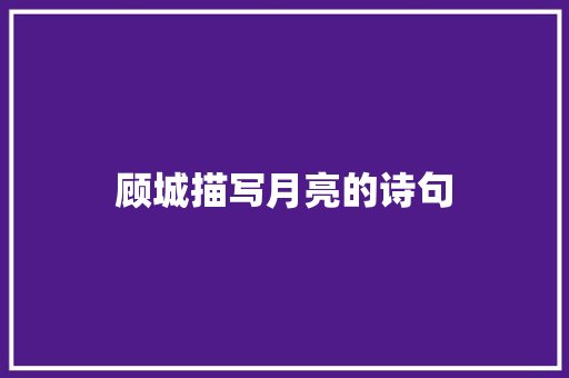 顾城描写月亮的诗句