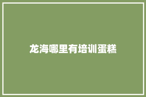 龙海哪里有培训蛋糕