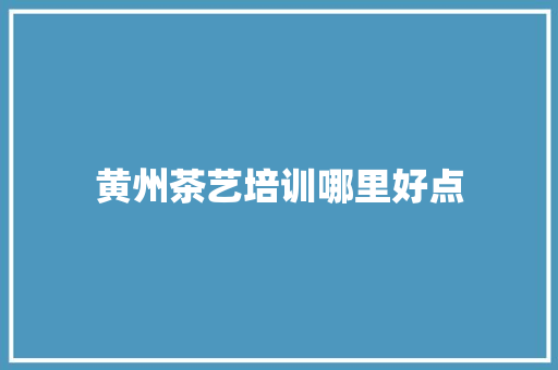 黄州茶艺培训哪里好点