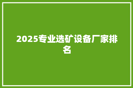 2025专业选矿设备厂家排名