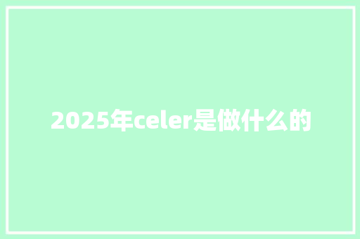 2025年celer是做什么的