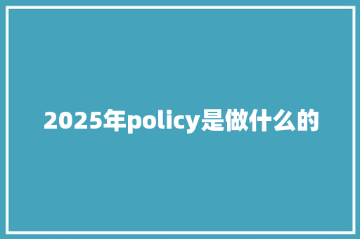 2025年policy是做什么的