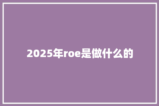 2025年roe是做什么的