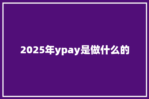 2025年ypay是做什么的