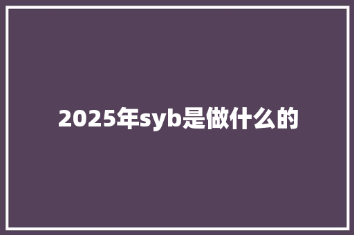 2025年syb是做什么的