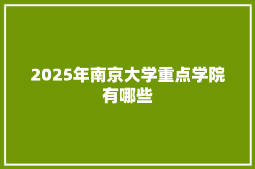 2025年南京大学重点学院有哪些