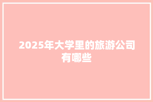 2025年大学里的旅游公司有哪些
