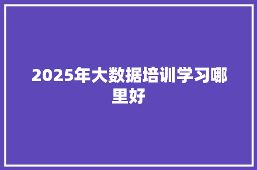 2025年大数据培训学习哪里好