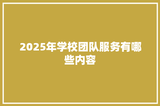 2025年学校团队服务有哪些内容