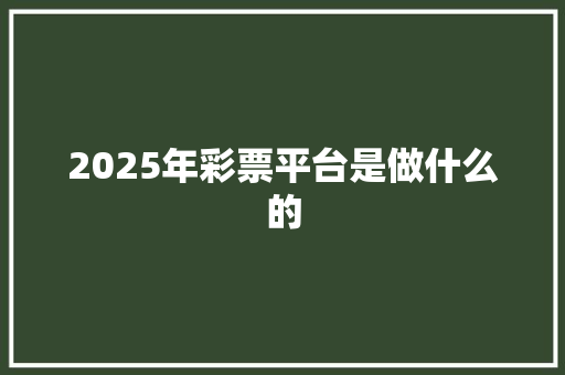 2025年彩票平台是做什么的