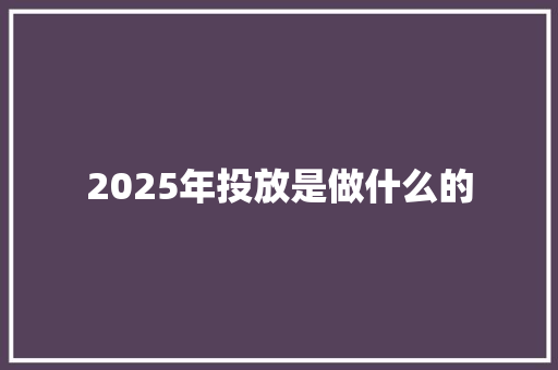 2025年投放是做什么的
