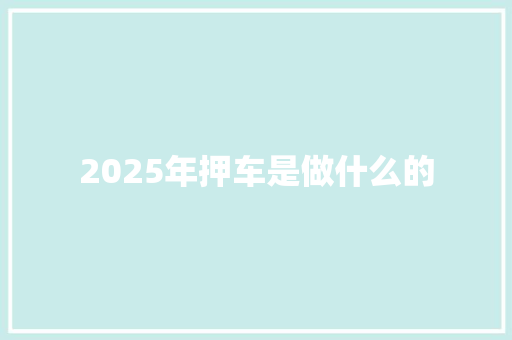 2025年押车是做什么的